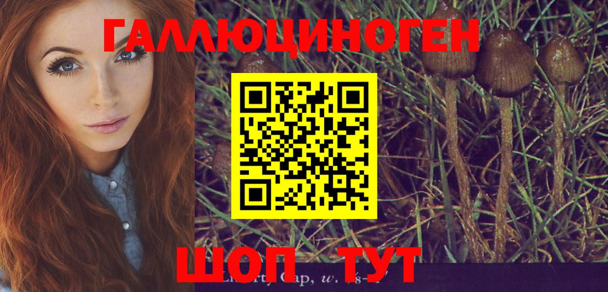 Железноводск  Галлюциногенные грибы Magic Shrooms  где продают наркотики  Вход с VPN 