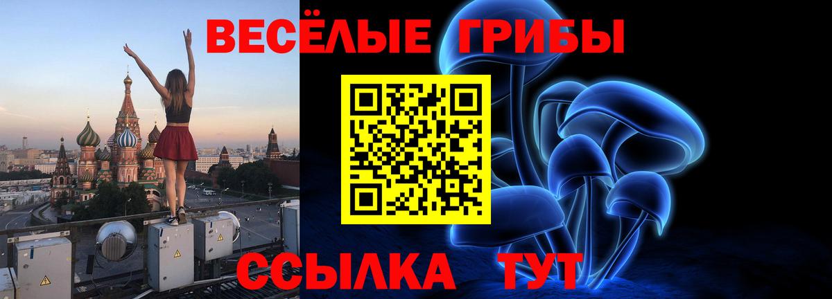 Псилоцибиновые грибы мухоморы Железноводск